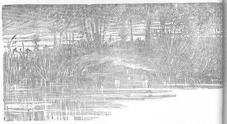 River scene