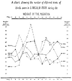 Chart: kinds of birds in Lincoln Park during the Migration Chart of kinds of birds in Lincoln Park during the Migration