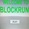 BlockRun