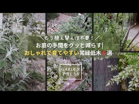 手間いらずの開花低木、在来種で決まり！10年庭師の選び方5ステップ