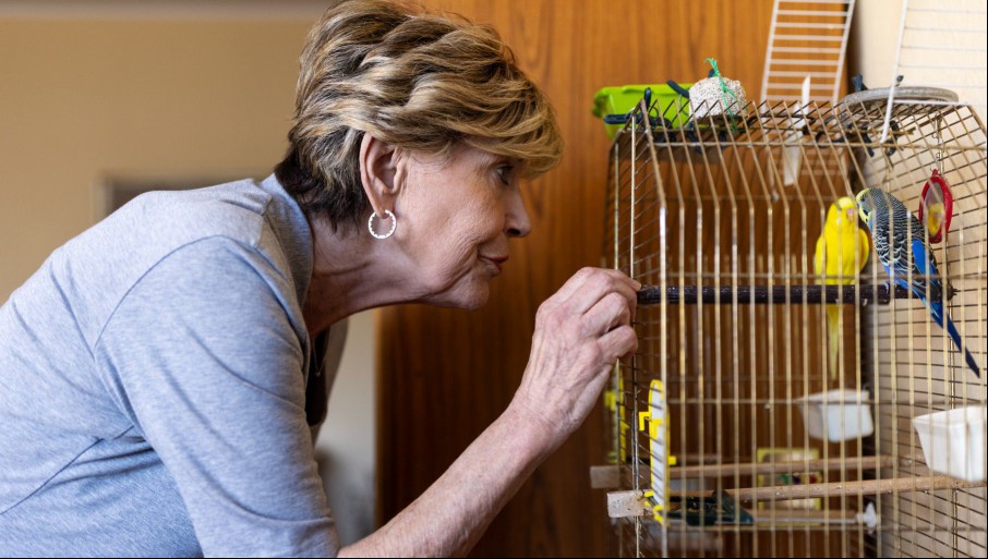 woman caring for a bird