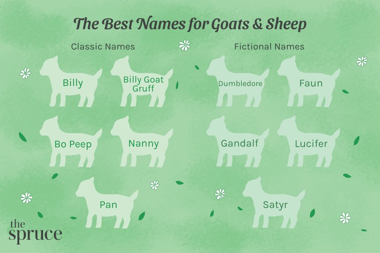name ideas for goats