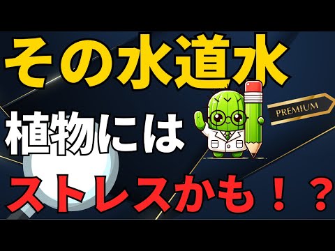 雨水が植物に与える効果と正しい使い方をプロが解説