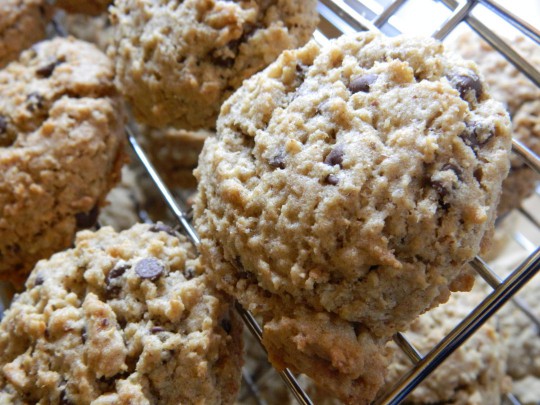 Oatmeal Chocolate Chip Lactation Cookies by Noel Trujillo