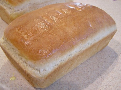 Amish White Bread