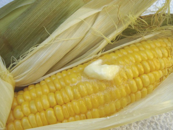 Oven-Roasted Corn on the Cob