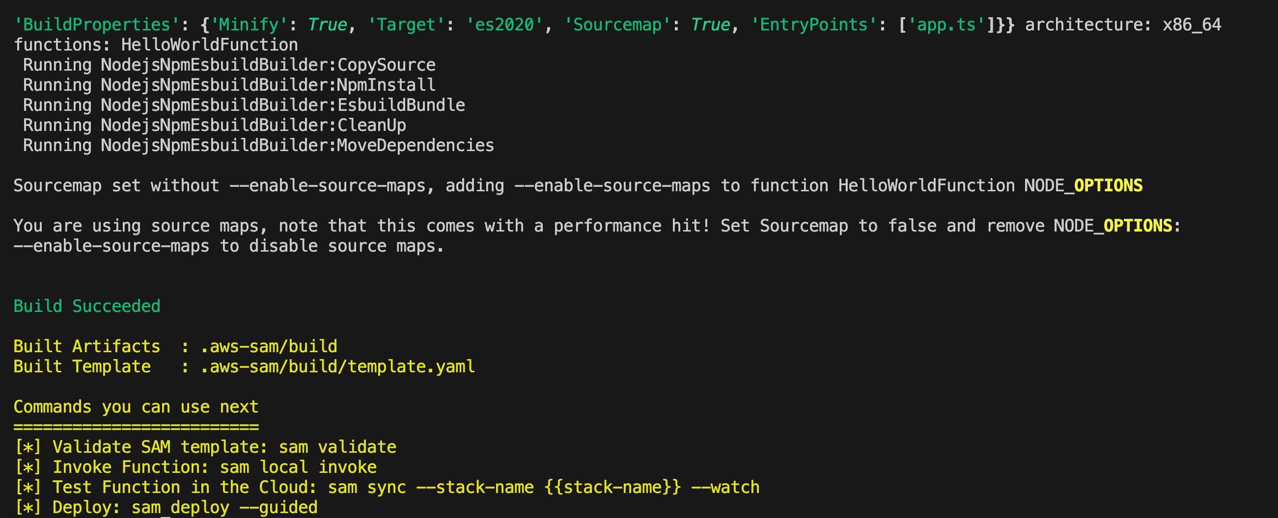 Terminal window output displaying a build success message