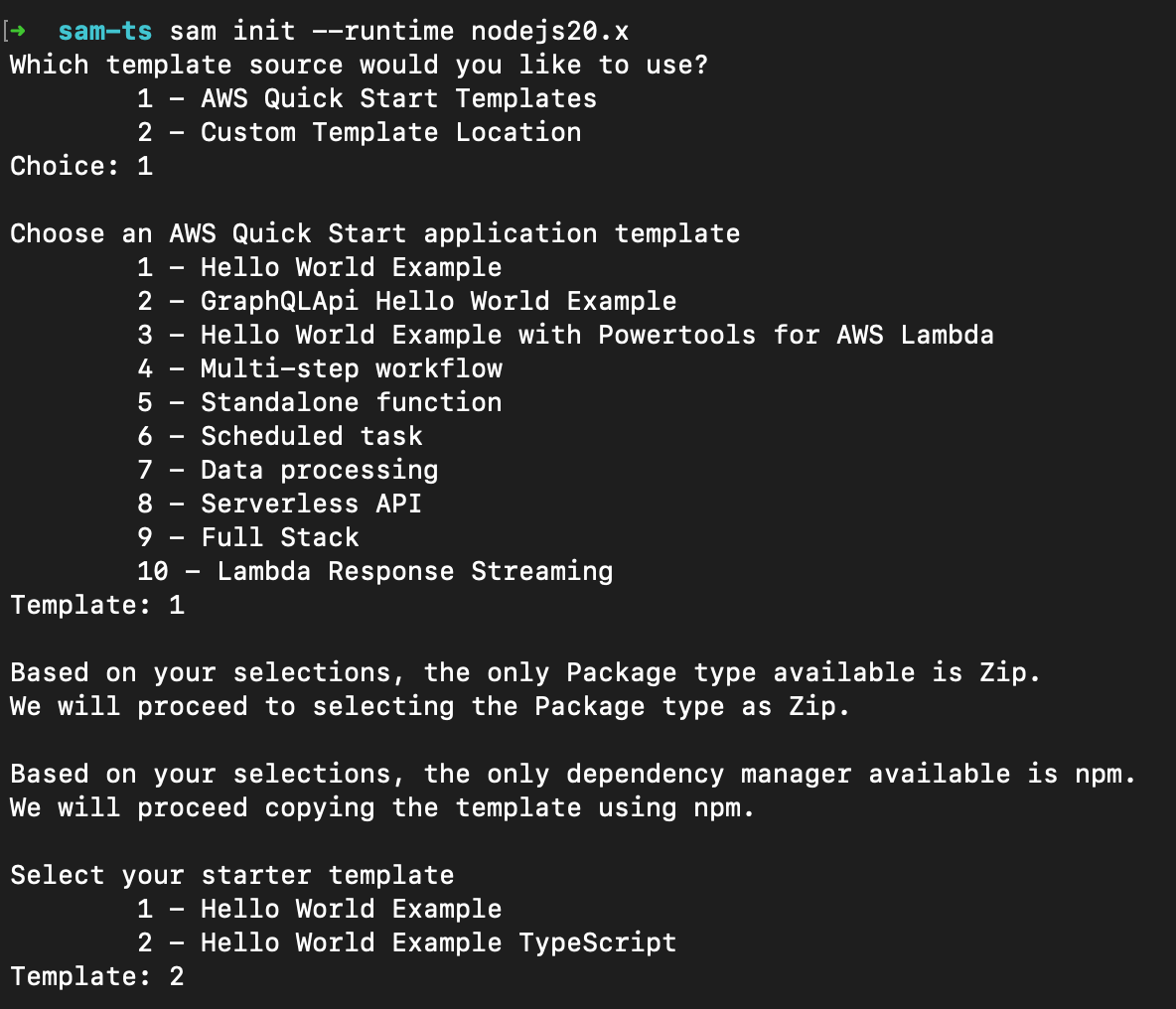 Generate TypeScript template through AWS SAM CLI tool