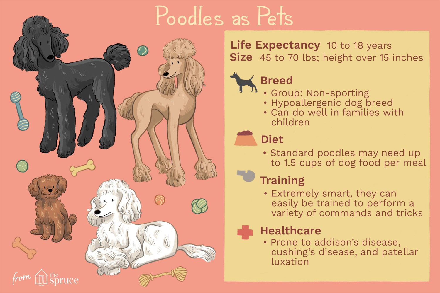 Poodles as Pets