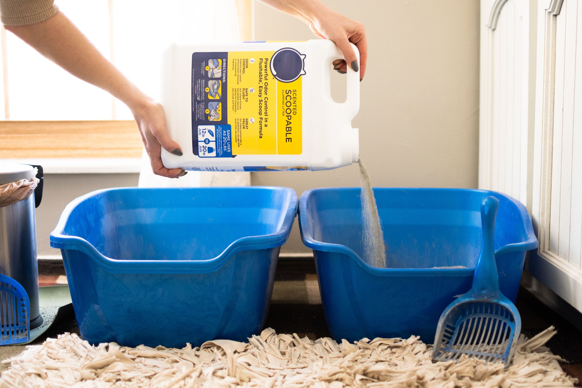 Fresh cat litter being poured into second blue litter box
