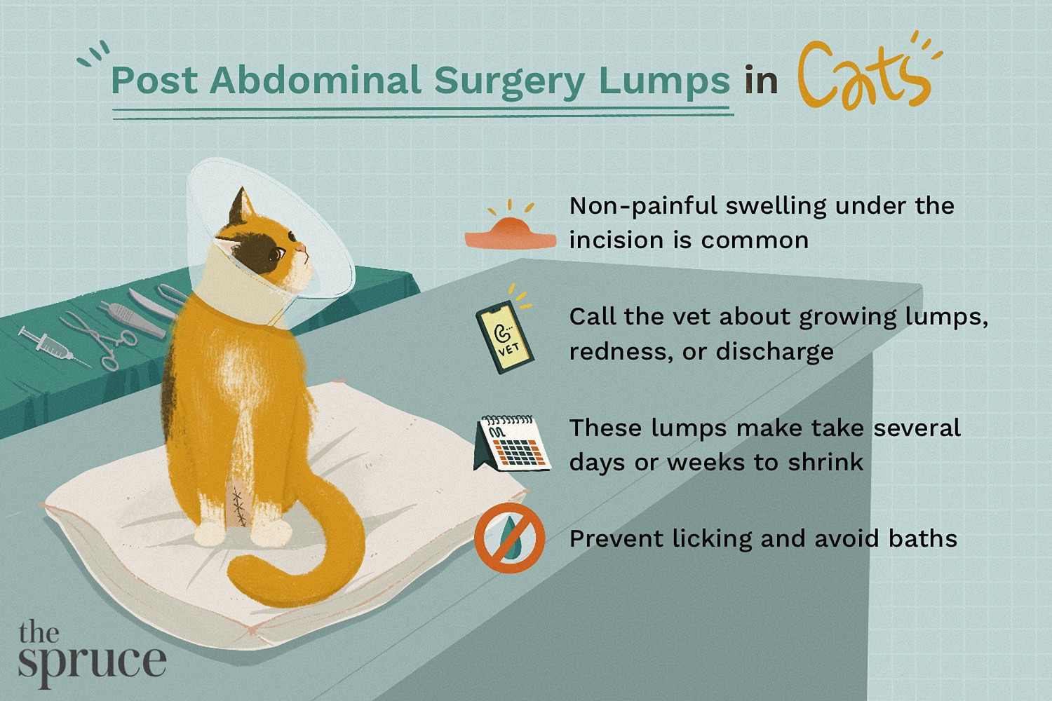 Post Abdominal Surgery Lumps in Cats