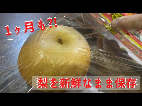 梨の保存方法を徹底解説！缶詰・冷凍・乾燥のコツ