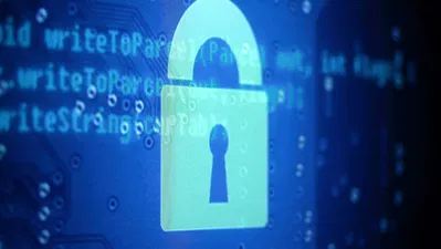 No One Is Exempt: 6 Important Privacy Habits Everyone Should Practice