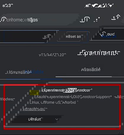 Quic Flag Google Chrome Android