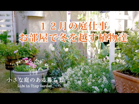 南西部の十二月ガーデニング：今やるべき4つの重要作業