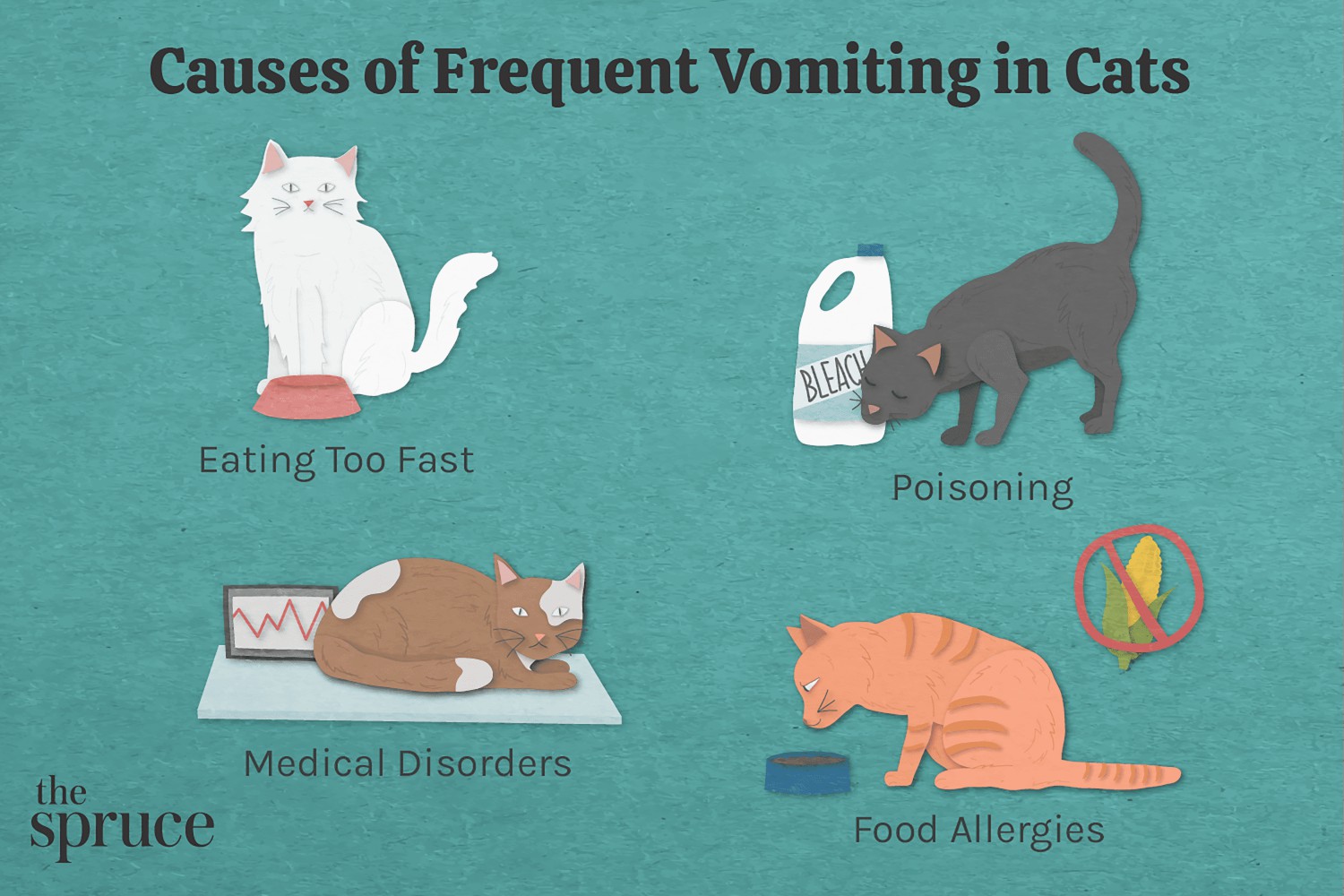 Causes of Frequent Vomiting in Cats