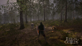 A character holding a sword and shield in Reign of Guilds. A character holding a sword and shield in Reign of Guilds.