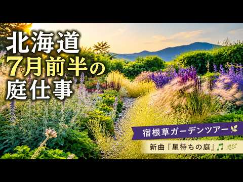 8月の北落基山脉ガーデニング：準備・霜対策・水やりの必須リスト