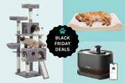 Black Friday Deals: Cat Tower, Dog Bed, Water fountain