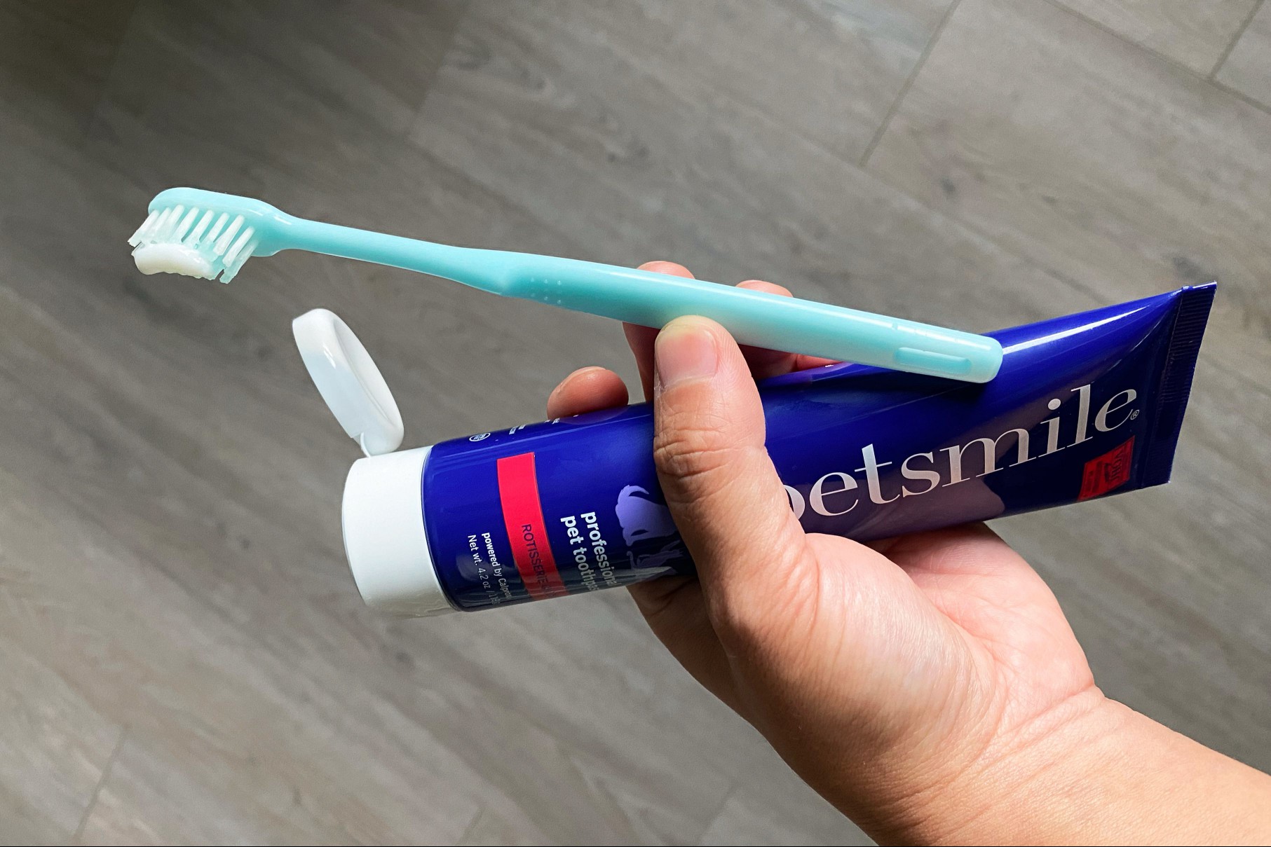 Hand holding a tube of Petsmile Professional Pet Toothpaste and a blue toothbrush