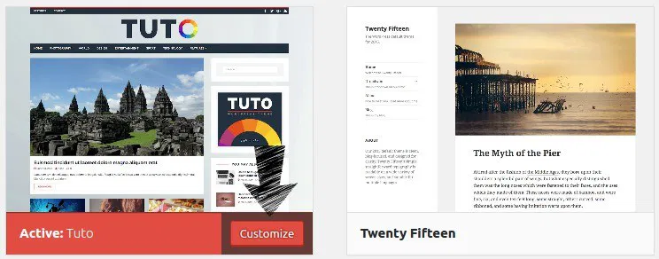Customize your WordPress theme.