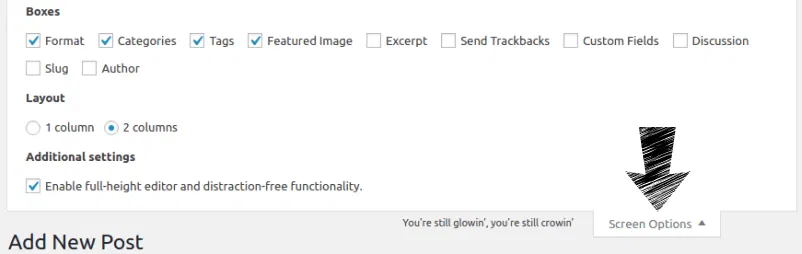 WordPress blog editor screen options.