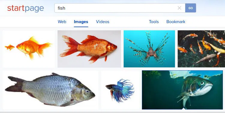startpage-image-search-1 startpage-image-search-1