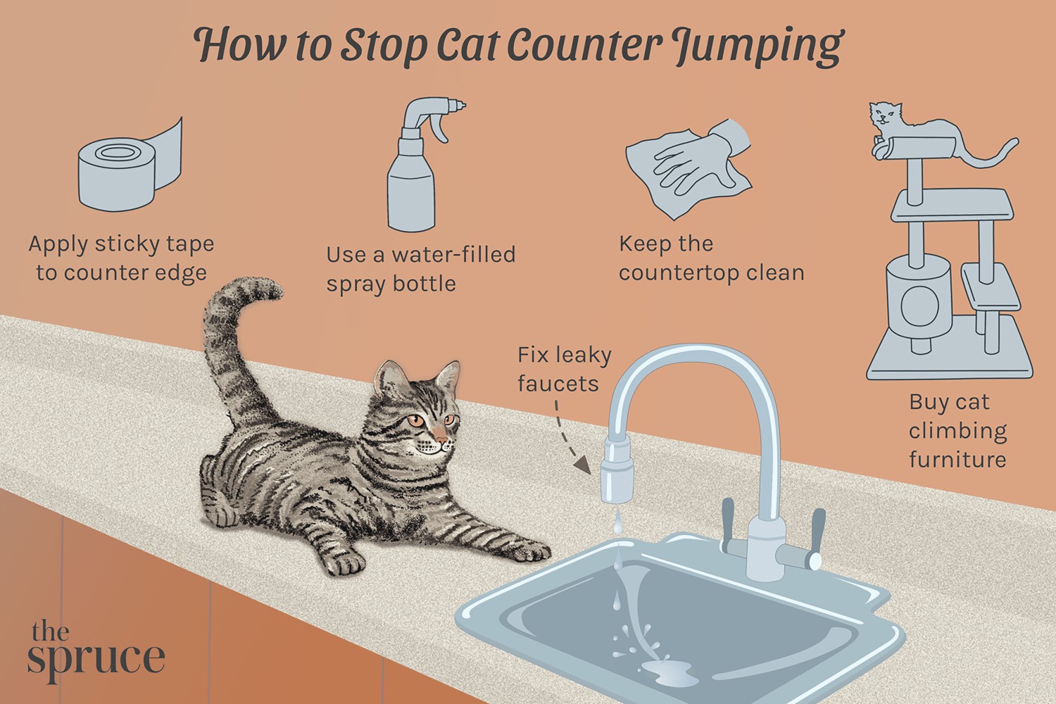 How to Stop Cat Counter Jumping