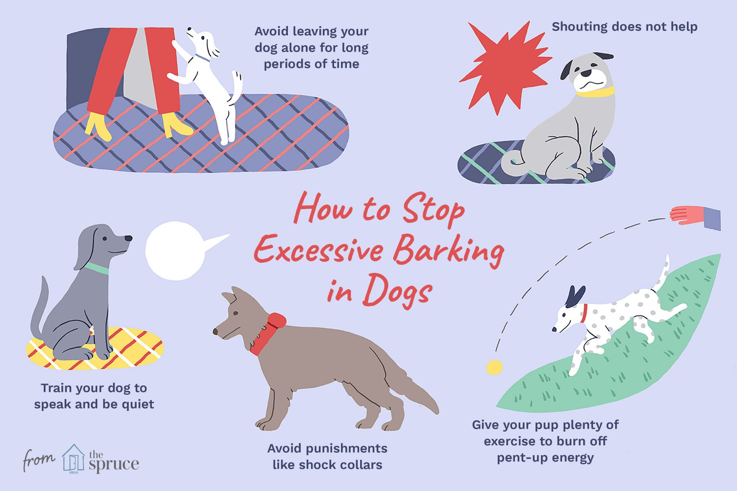 How to Stop Excessive Barking in Dogs