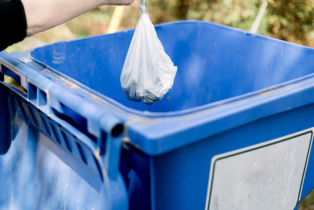 Cat litter urine clumps wrapped in plastic bag and placed in blue trash bin