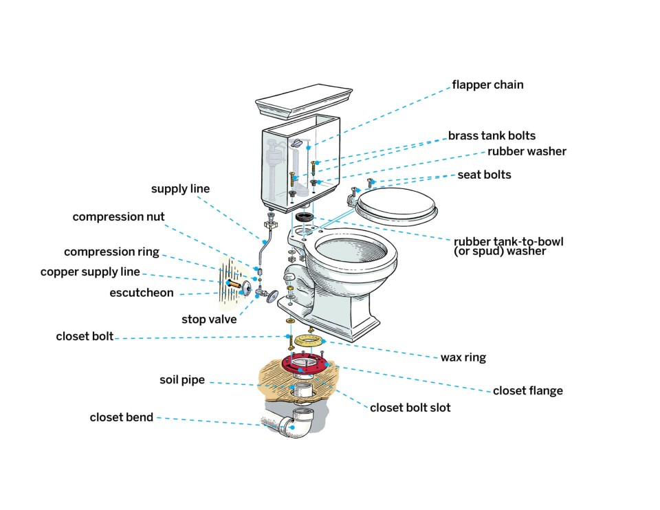 Diagram of parts of a toilet.