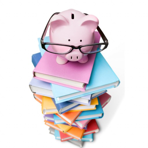 Além dos Números: Transformando o Bolsa Família em uma Jornada para o Sucesso Financeiro Além dos Números: Transformando o Bolsa Família em uma Jornada para o Sucesso Financeiro