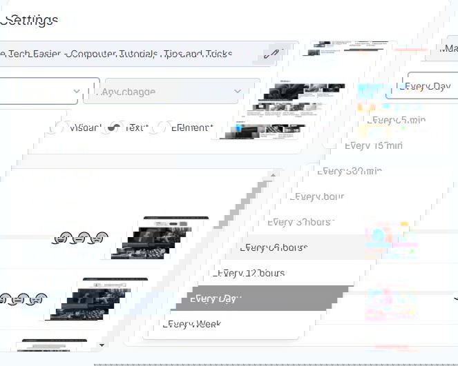 Visualping Review Frequency