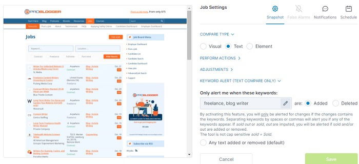 Visualping Review Text