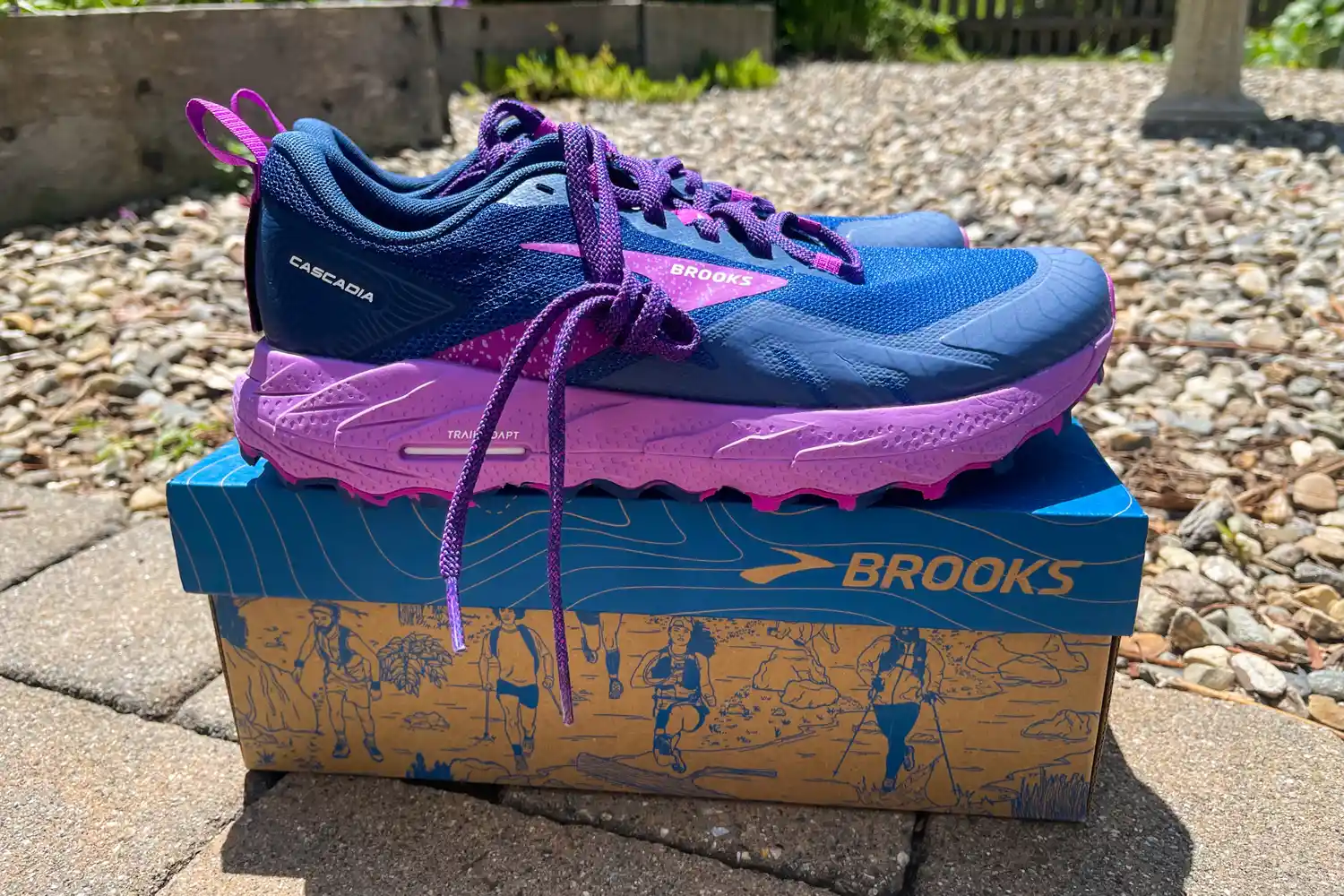 The Brooks Cascadia 17 shoes posed on top of their box