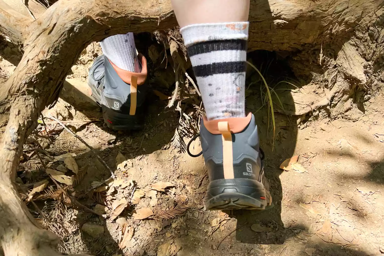 Person stepping over a tree root while wearing Salomon X Ultra 4 Mid Gore-tex Salomon X Ultra 4 Mid Gore-tex Boots