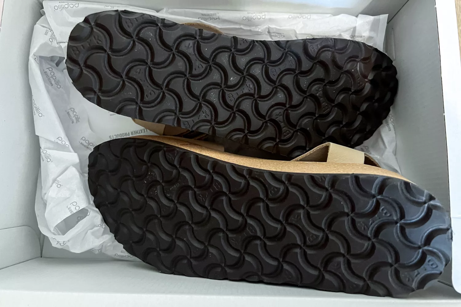 the bottom of the Birkenstock Women's Glenda in their box