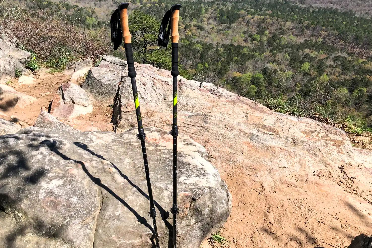 The Cascade Mountain Tech Carbon Fiber Quick Lock Trekking Poles lean against a rock