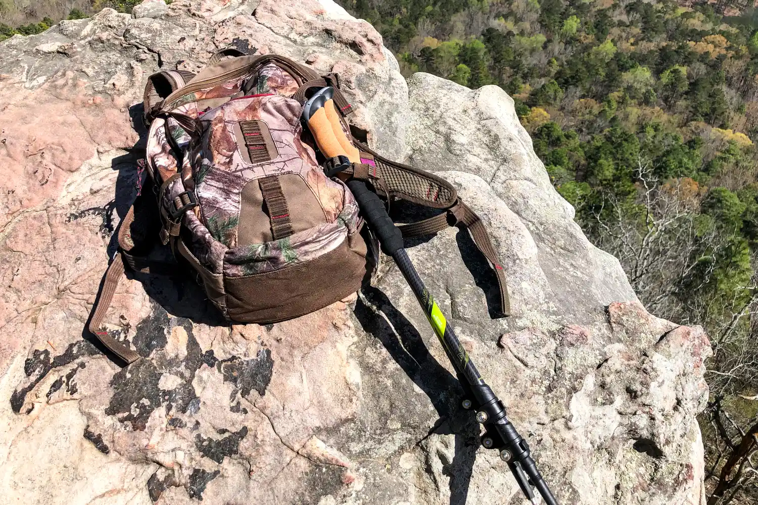 The Cascade Mountain Tech Carbon Fiber Quick Lock Trekking Poles lean against a backpack on a rock