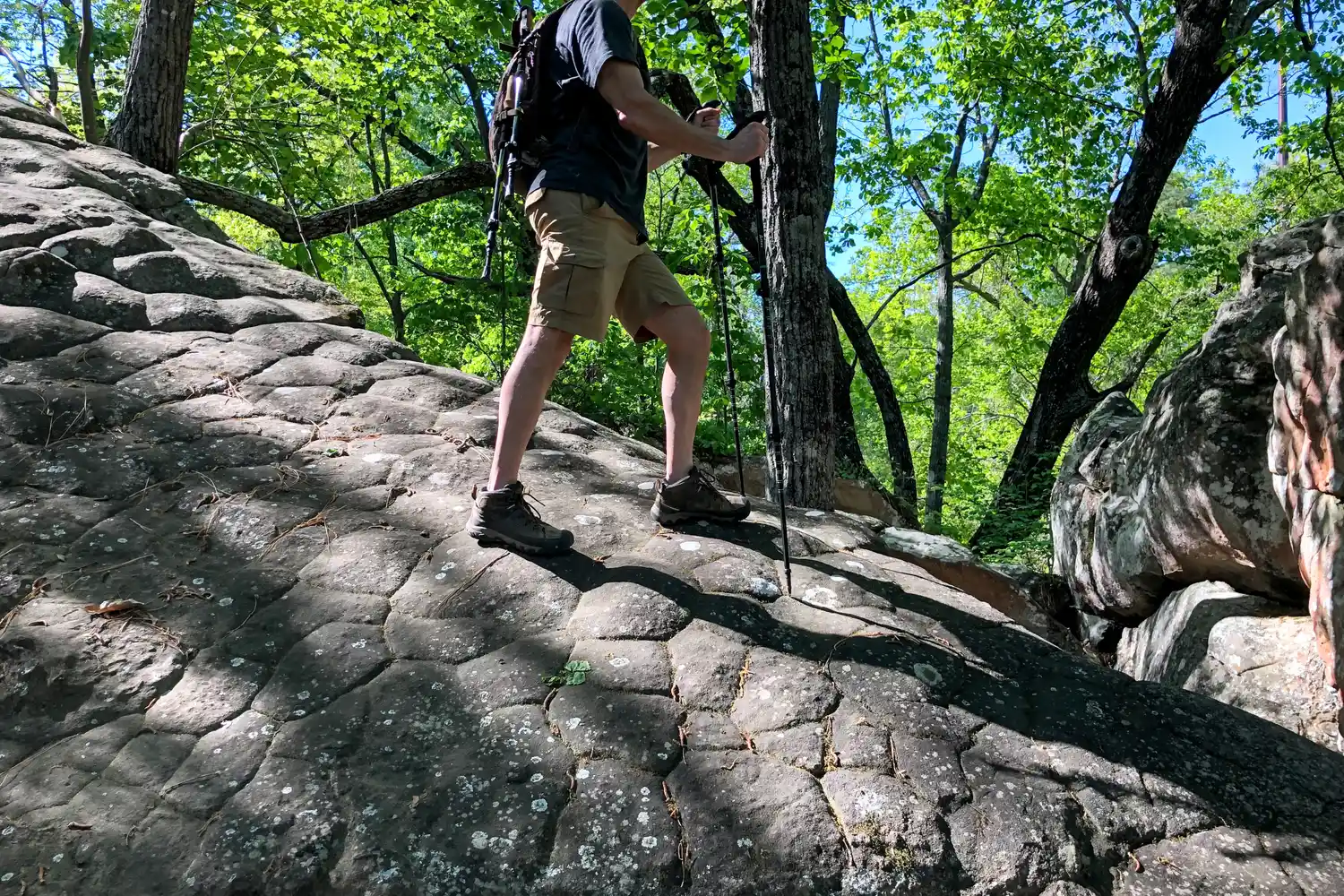 A person walks over a large rock using the Cascade Mountain Tech Carbon Fiber Quick Lock Trekking Poles