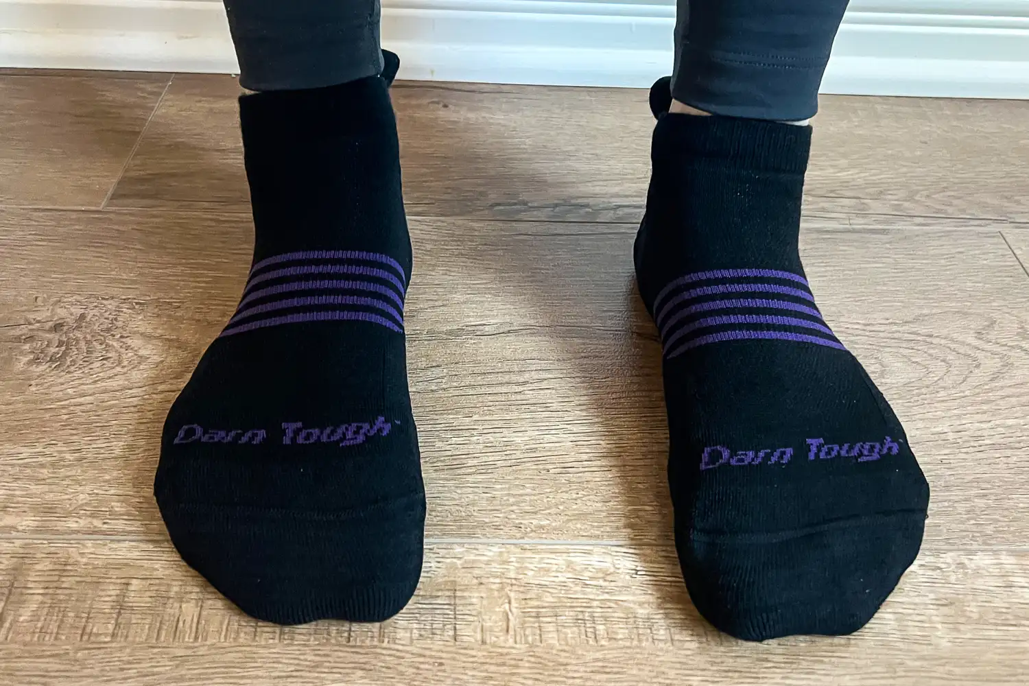 A person wears the Darn Tough Men's and Women's Element No Show 2-Pack Socks
