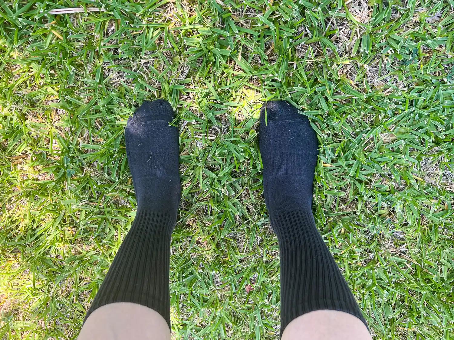 Lululemon daily essential crew socks