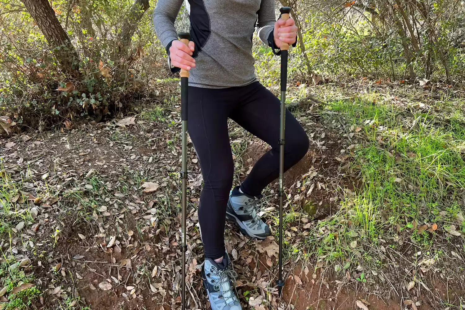 Person holding Black Diamond Alpine Carbon Trekking Poles