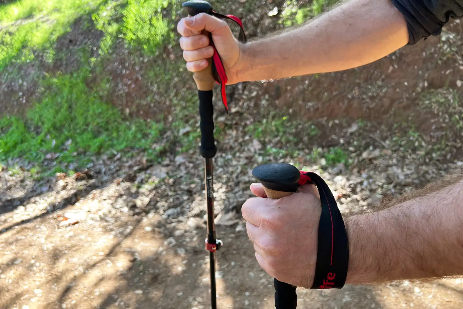 A person holding trekking poles on a dirt path with green foliage in the background