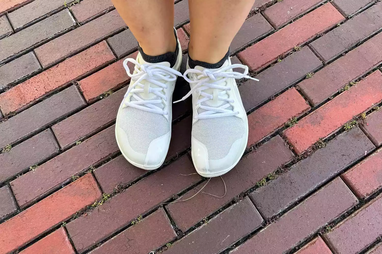 An overhead view of a person wearing the Vivobarefoot Women's Primus Lite III Weightlifting Sneakers outside on a brick path
