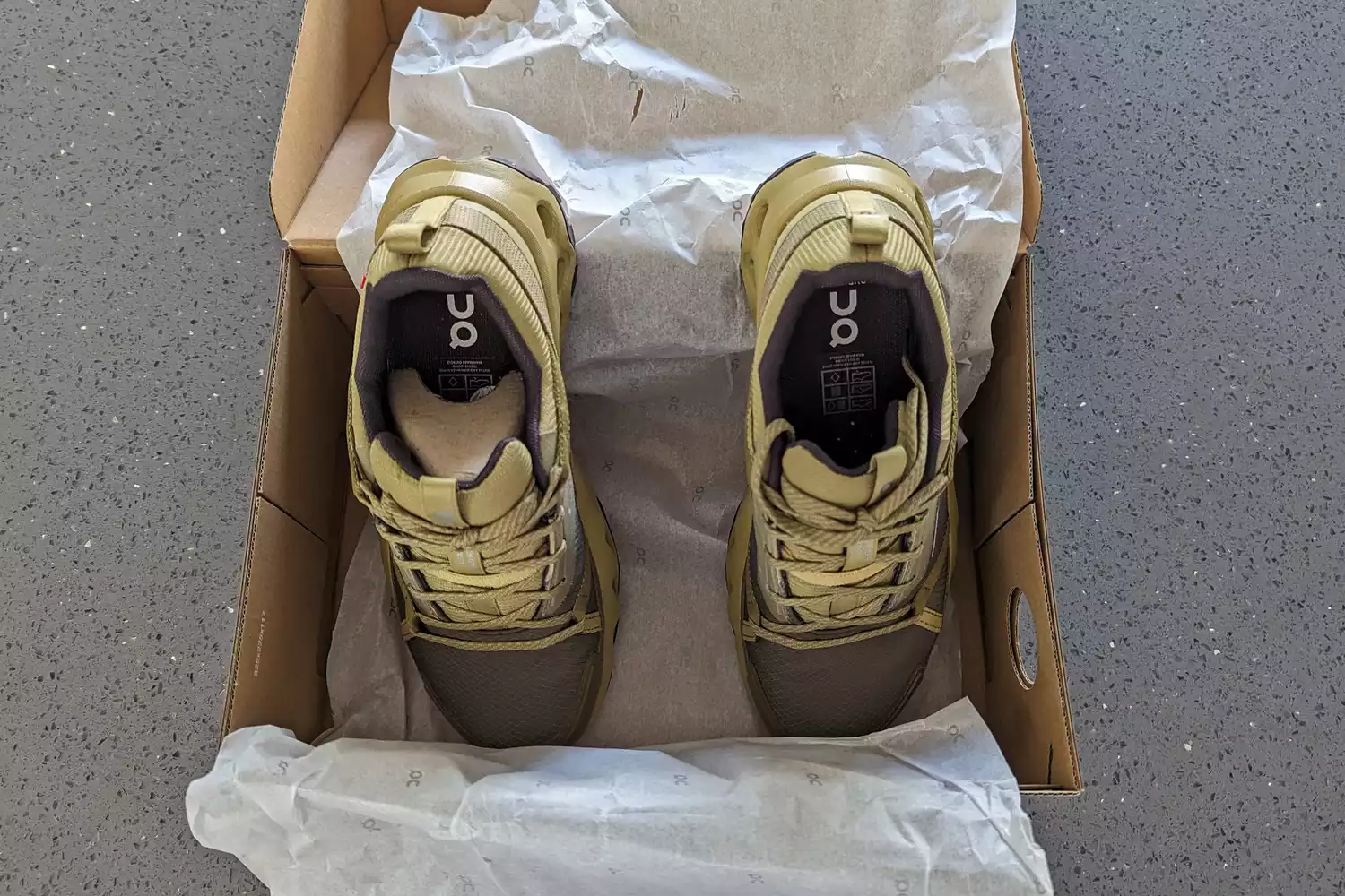 An overhead view of the On Running Women's Cloudhorizon Waterproof Running Shoes in a shoebox