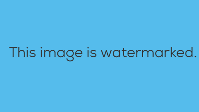 Best Plugins to Automatically Watermark Images In WordPress