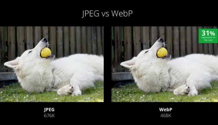 webp-vs-jpeg webp-vs-jpeg