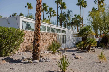 White modern ranch house landscaping with low-lying palm trees and shrubs