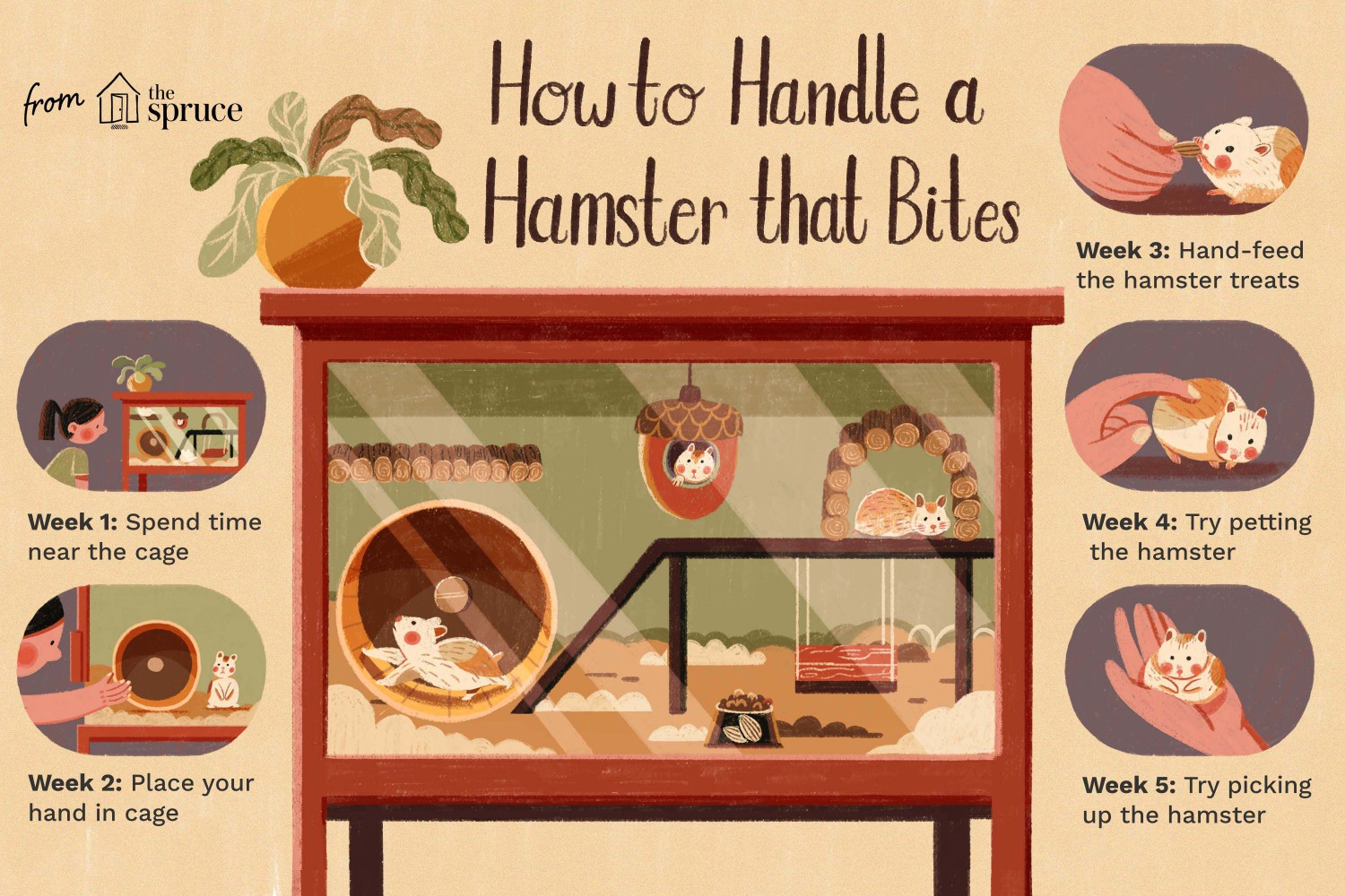 How to Handle a Hamster that Bites
